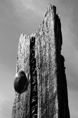 Zingst, Holzskulptur von Robert Lindner (unverkäuflich/unsaleable)