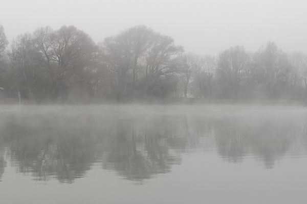 Birkensee im November
