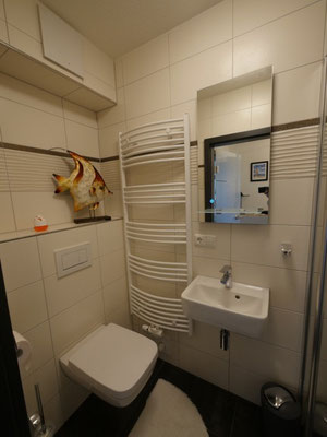 Das Gäste WC mit Dusche