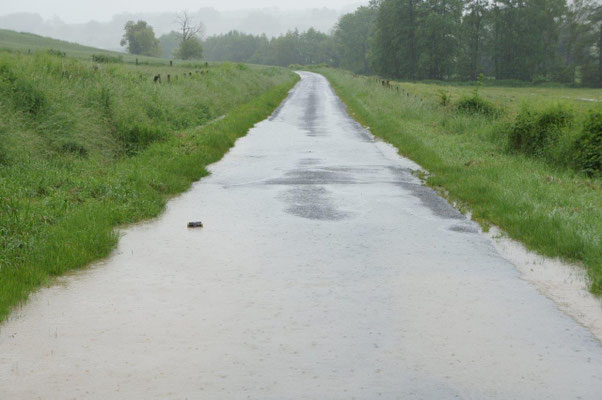 Un second point d'inondation est apparu cette fois-ci sur la RD 203.