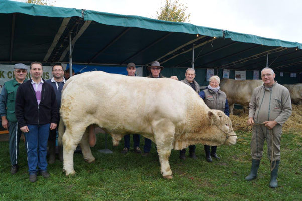 Montmirail. Foire Saint-Simon 2017 : L'Association des Éleveurs Charolais de la Marne et de l'Ile-de-France.