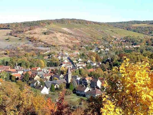 JAULGONNE