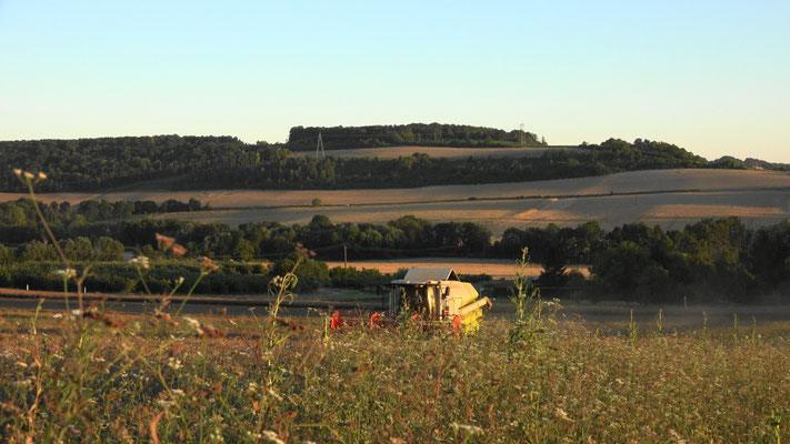 Elle est pas belle la campagne sud axonaise ?!