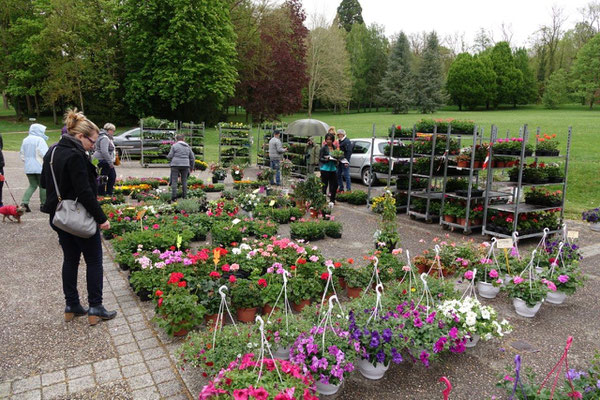 Le Marché aux fleurs de Dormans est l'un des temps forts de l'année...