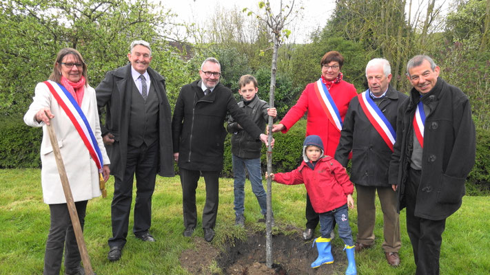 Plantation d'un tilleul à Saint-Agnan.