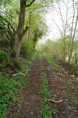 Entre un état d'abandon et une coupe à blanc, il y a sans doute un juste milieu à trouver du côté des riverains.