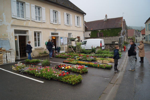 Une petite partie de la production des Serres de Nogentel est proposée aux visiteurs.