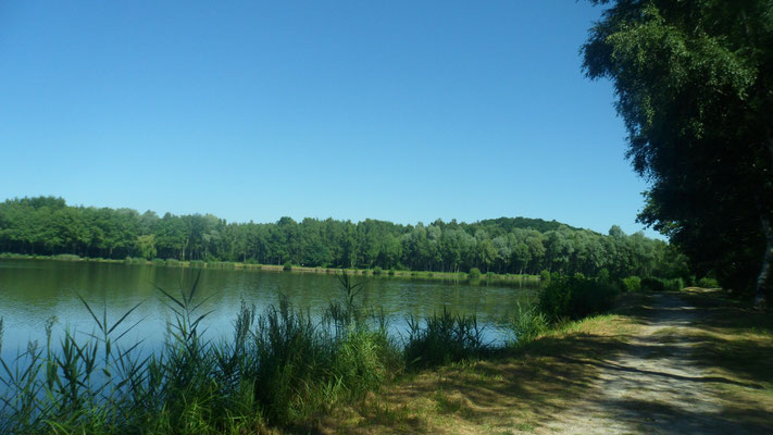 Fère-en-Tardenois. Parc des Bruyères : l'étang.