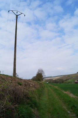 Le poteau électrique a dû voir des étincelles...