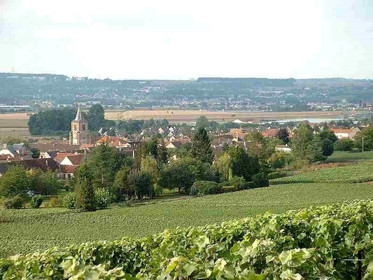 NOGENTEL
