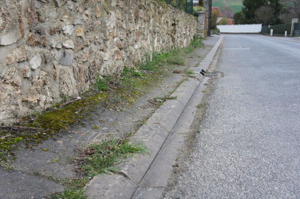 A La Chapelle Monthodon, les habitants sont déjà habitués à voir de l'herbe dans les rues...