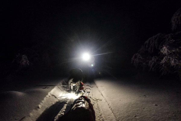 You quickly become used to, going with a headlamp in the afternoon or early morning