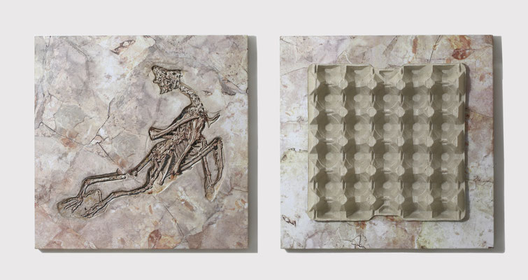 Legacy of Dinosaurs, 2013, Twice 40 x 40 cm, mixed media, papers and cardboard