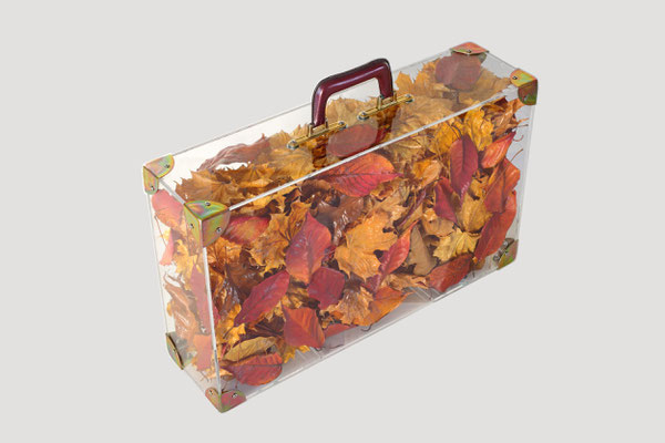 Autumn of 2017 - 60 x 36 x 16 cm Mixed media Plexiglass, metal and leave, 2017