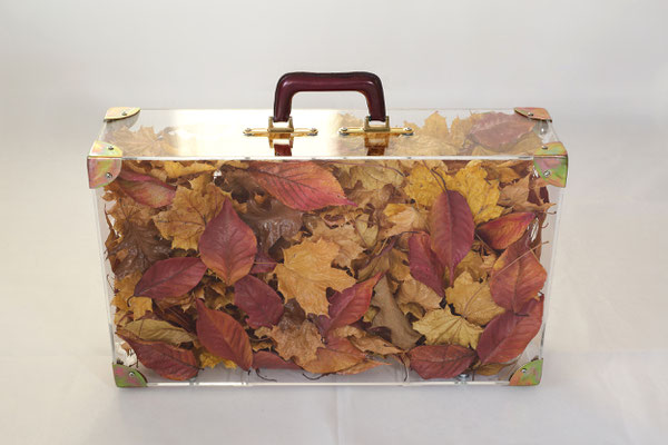 Autumn of 2017 - 60 x 36 x 16 cm Mixed media Plexiglass, metal and leave, 2017