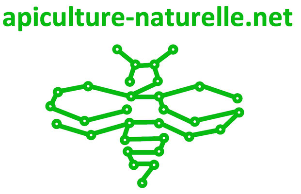Apiculture-naturelle