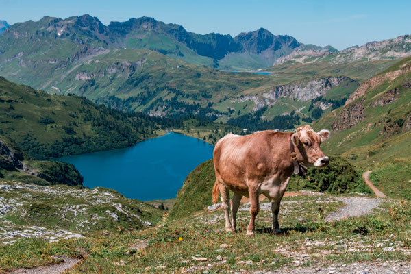 Engelberg