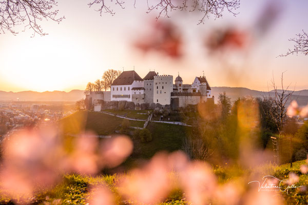 Schloss Lenzburg