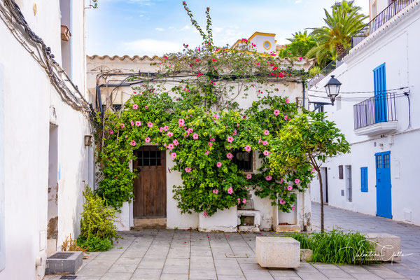 Ibiza
