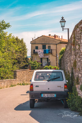 Volterra
