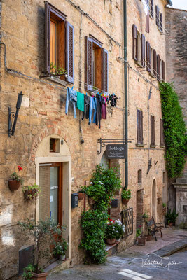 Volterra