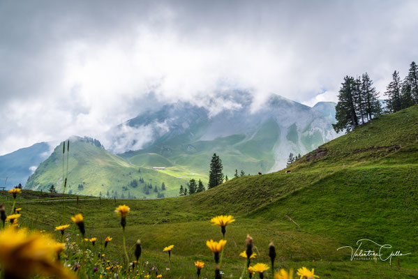 Klewenalp
