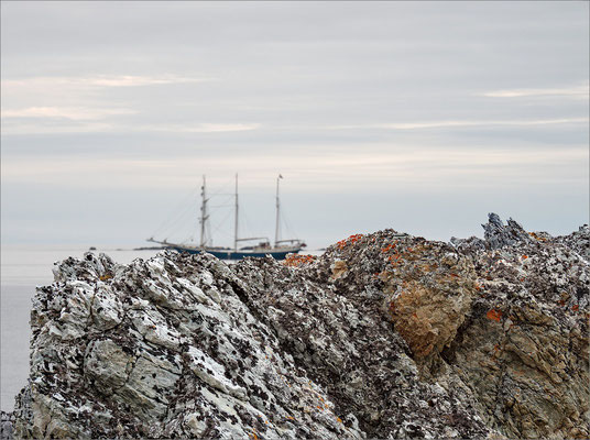 Hornsund Hyttevika Antigua