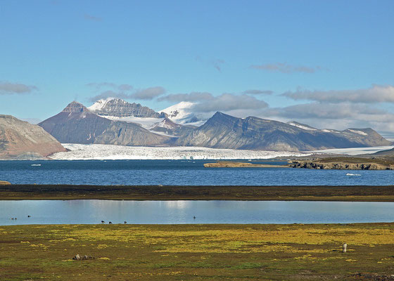 Spitzbergen Ny-Ålesund (2013)