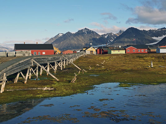 Spitzbergen Ny-Ålesund (2013)