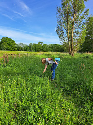 Kräuterwanderung