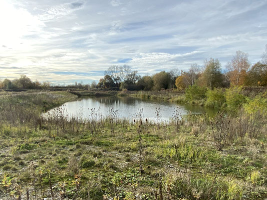 Blick aus Osten auf den großen Weiher