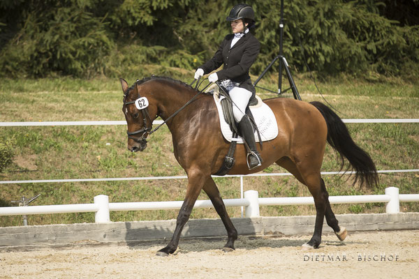 Femina-B 3 Platz beim Reitpferdechampionat Steiermark 2017