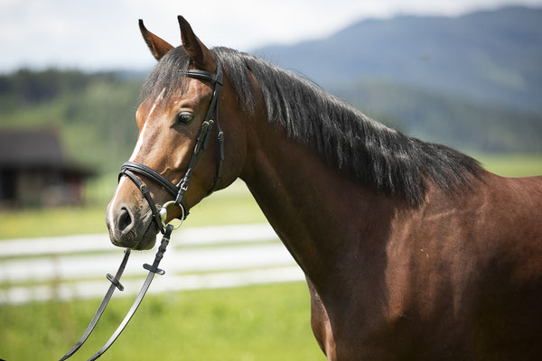 Ares Juli 2020