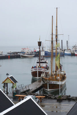 im Hafen von Husavik