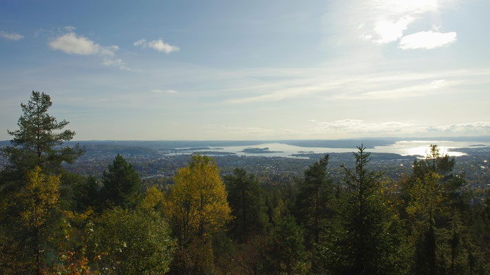 Ausblick auf Oslo vom Vettakollen