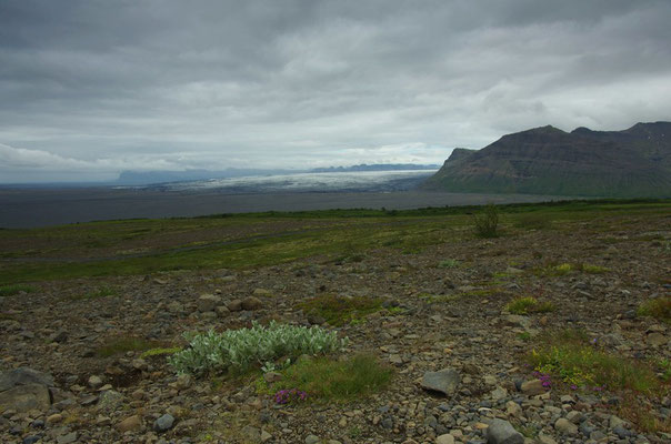 Blick auf den Vatnajökull