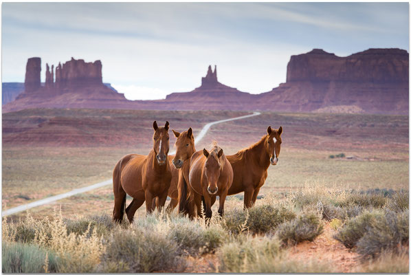 " WESTERN ICON I "