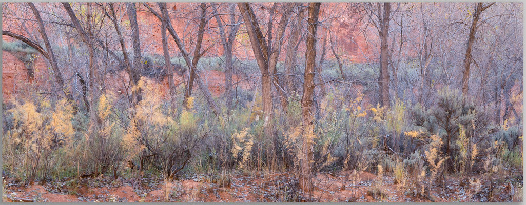 "AUTUM I"