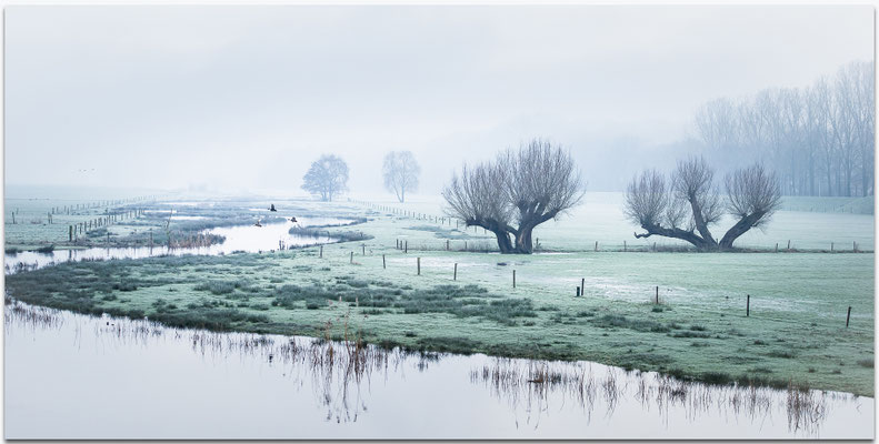 " DUTCH RURAL WATERWAY "