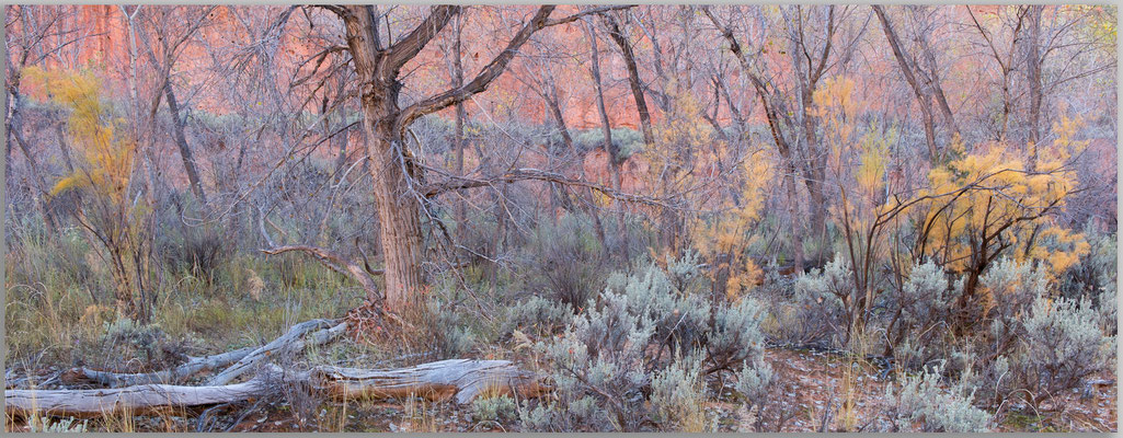 "AUTUM II"
