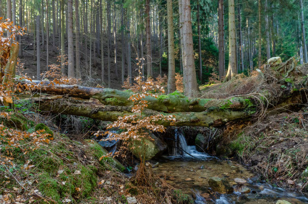 Im Heinrichstal