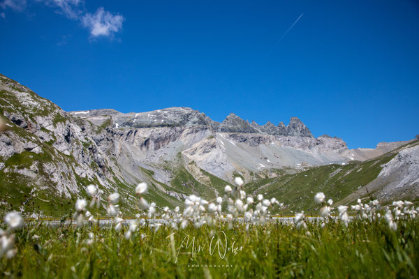 Grauberg, Segnesboden, Tschingelhörner, Flims, Bild kaufen