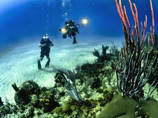 Ledarmatuur voor onderwater video of camera opnamen tot 20m diep, hoge kleurweergave CRI>95