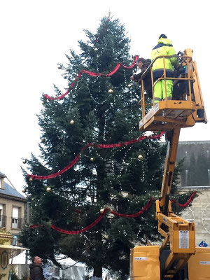 Oh, il est beau le sapin de Noël !!!