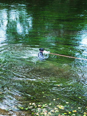 Abgesichert mit der Leine kann der Zwerg nicht davon schwimmen