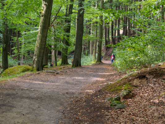 Der Heinrich-Heine-Weg