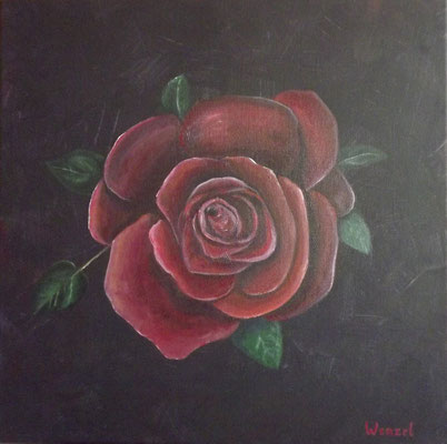 Gartenrose, 2011, 40 x 40 cm