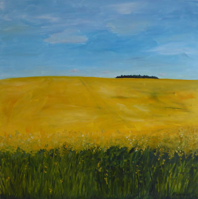 Rapsfeld in Mecklenburg, 2014, 70 x 70 cm