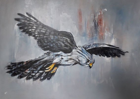 99 "Fliegender Falke" Acryl auf Leinwand 70 x 100 cm