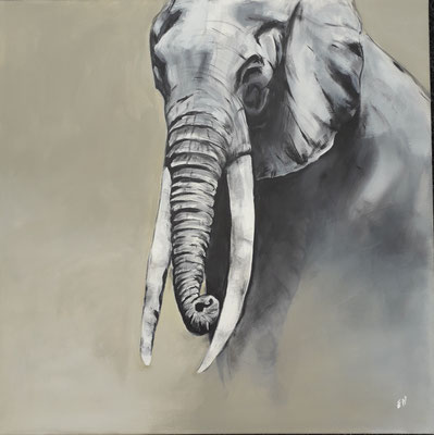 96 "Elefant 3"Acryl auf Leinwand 80 x 80 cm